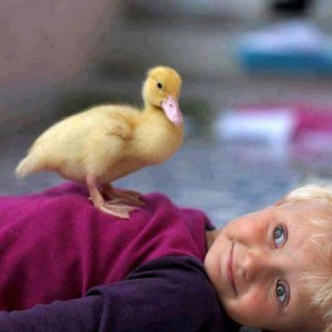 Kiddo with duck